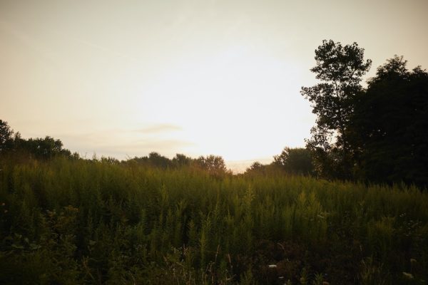 Cleveland Lakefront Nature Preserve – Port of Cleveland